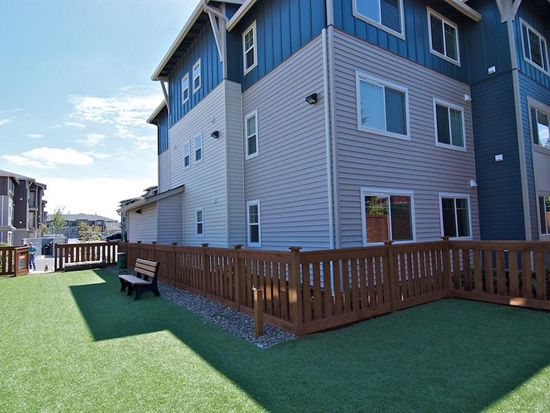 Baseline Woods Image 38