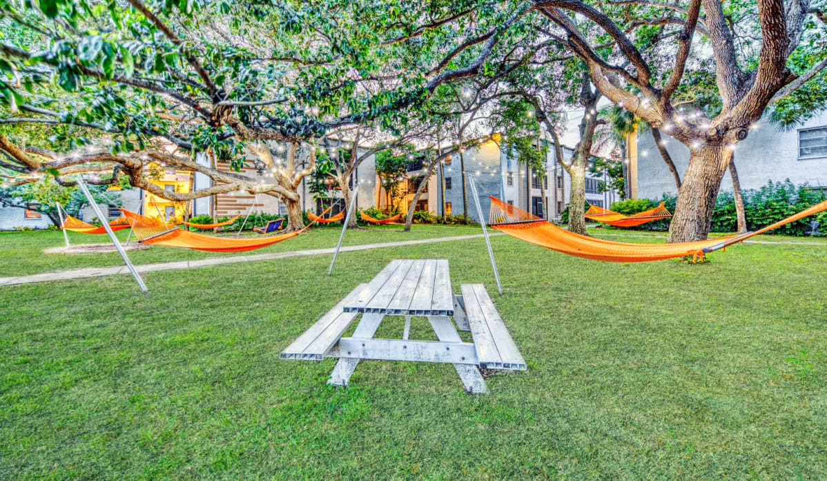 Milo Bayside Image 19