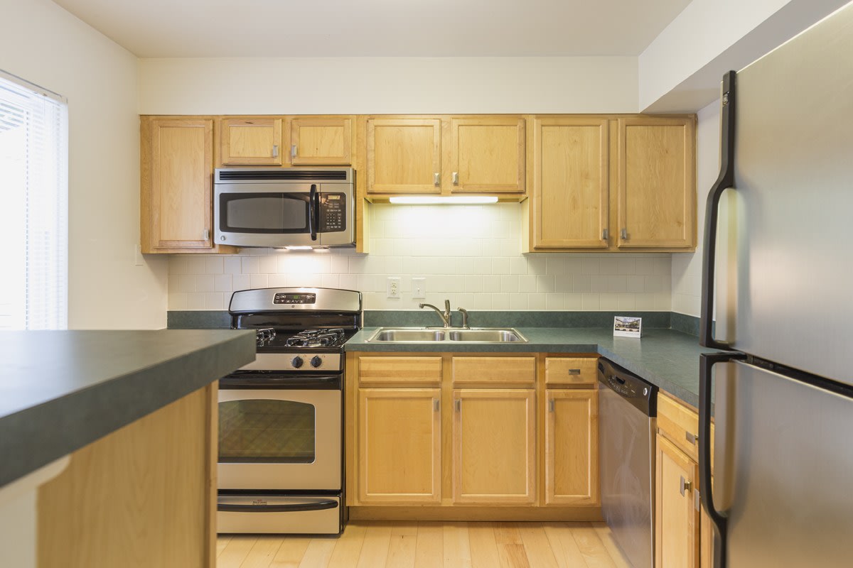 Ash Tree - Student Housing Image 2