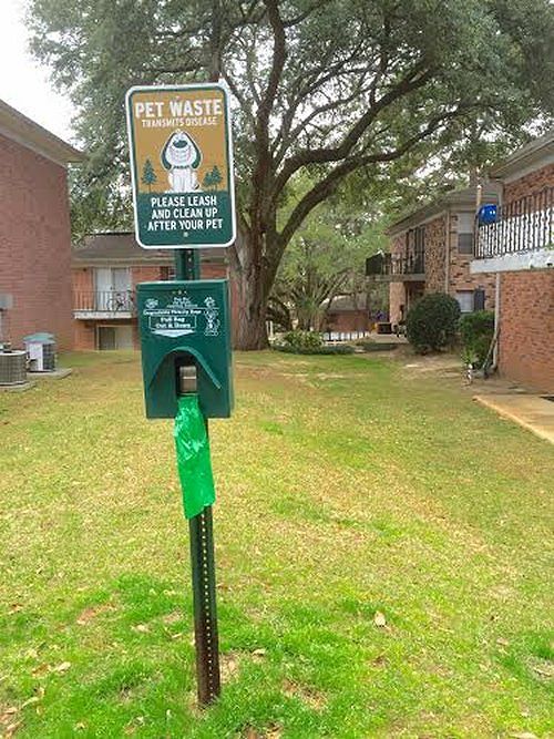 Live Oaks at 275 Image 5