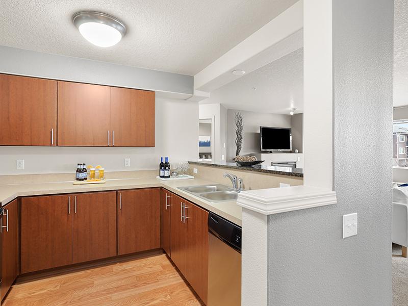 Baseline Woods Image 7