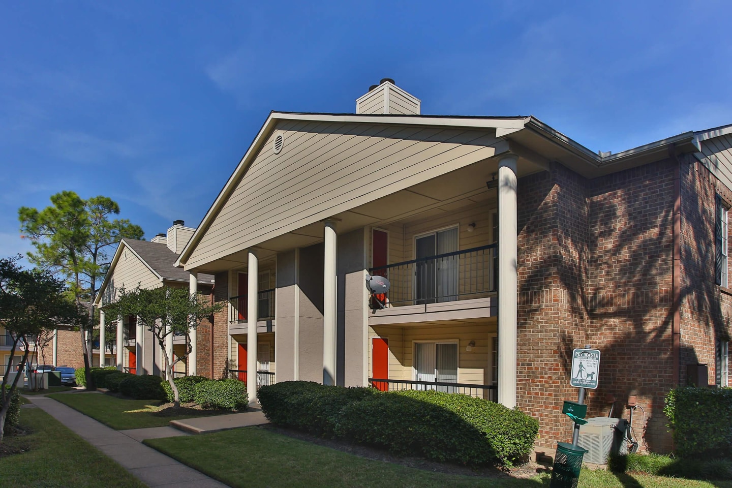 Savannah Image 8