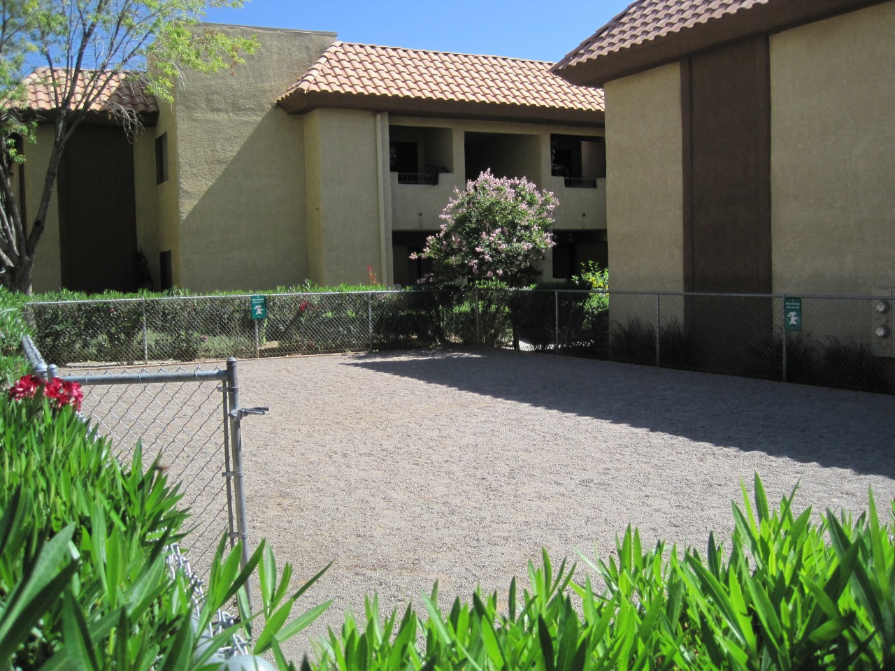 Summerhill Pointe Apartments Image 8