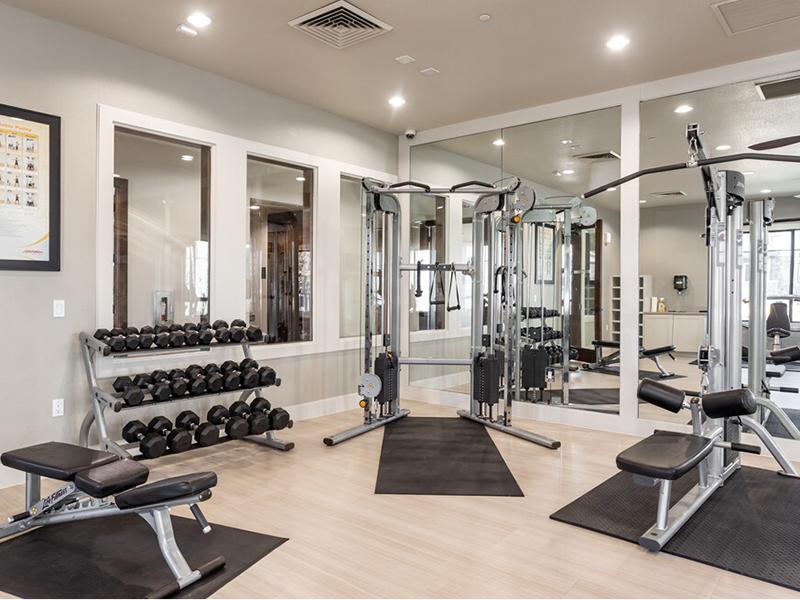 Elevation Luxury Apartments Image 20