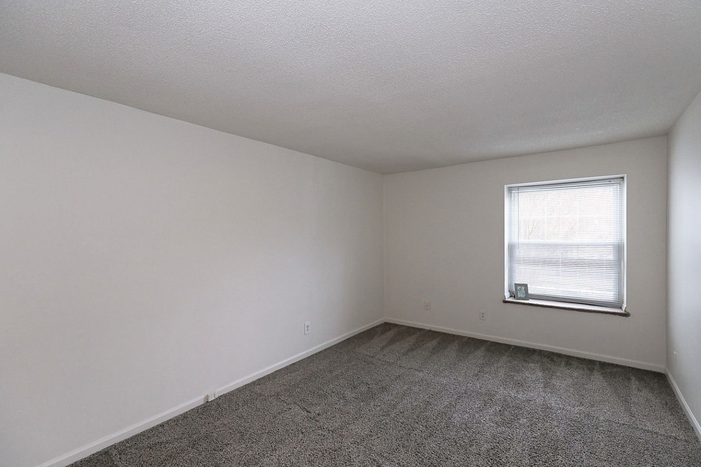 The Morehead Apartments Homes Image 12