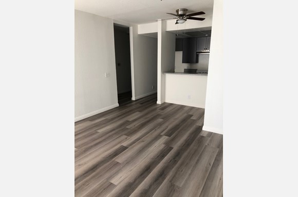 6510 La Mirada Ave Image 7
