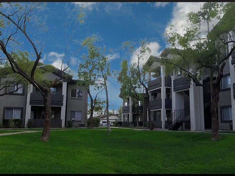 Lindsay Palms Image 17