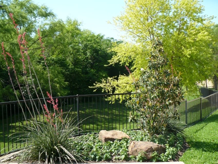 Spicewood Crossing Image 16