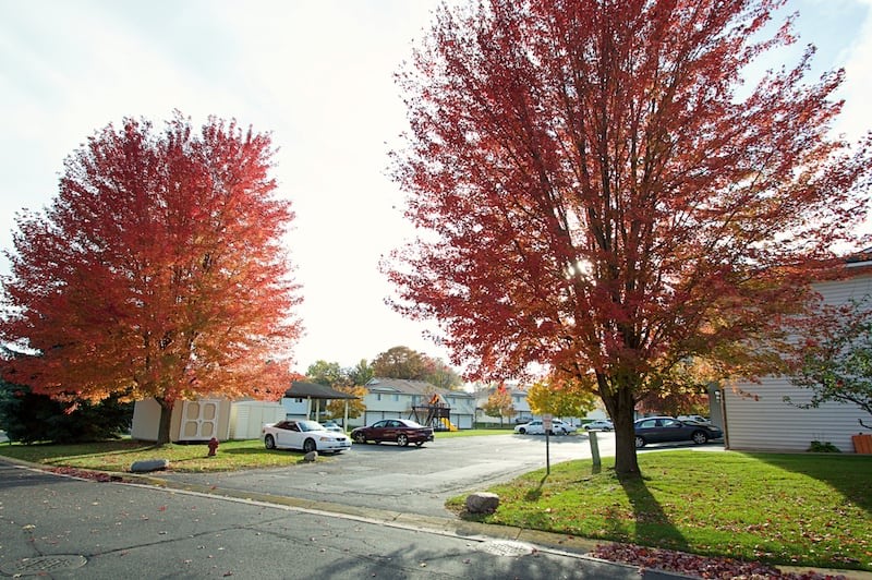 Parkview Manor Townhomes Image 14