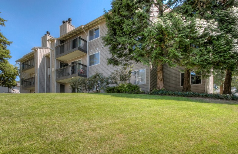 Amberview Image 15