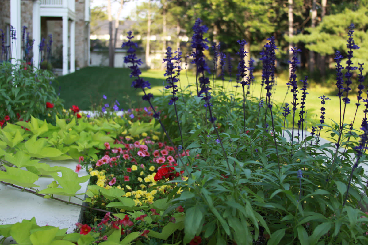 The Pines at Mount View - Senior Housing Image 10