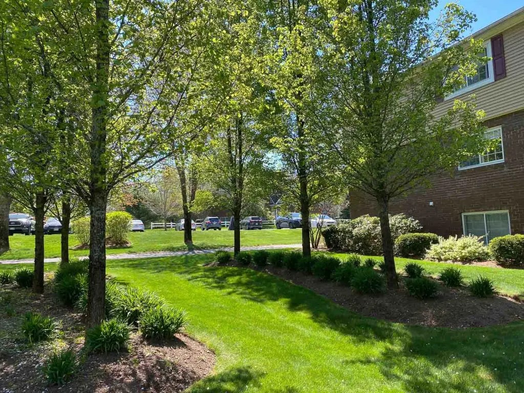 Eagles Landing Image 11