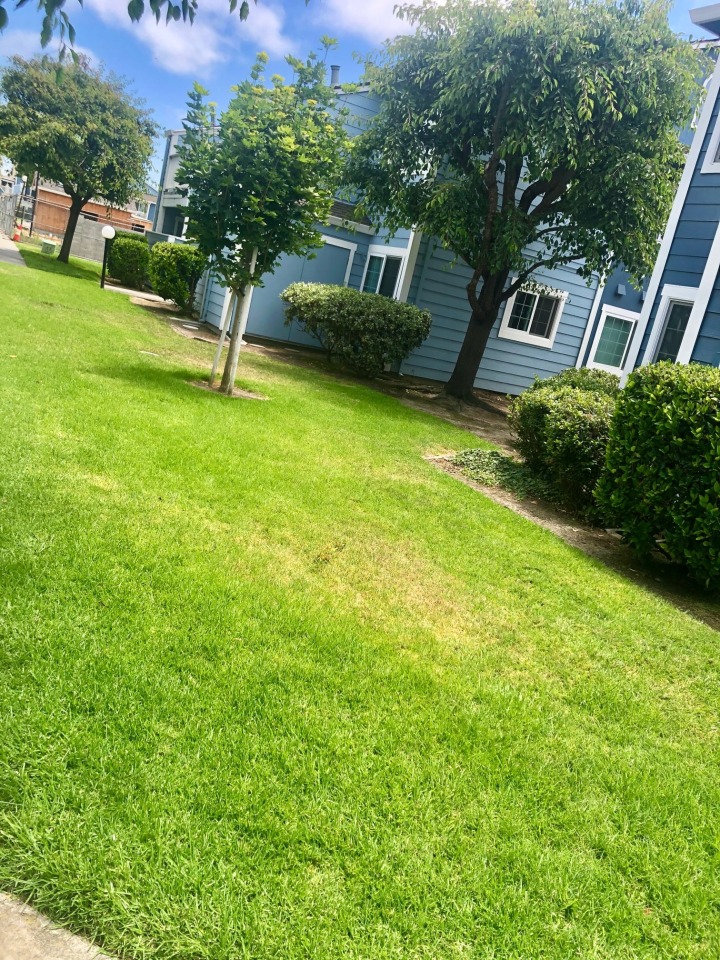 Mariner Village Image 11