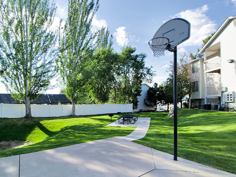 Cherry Lane Image 11