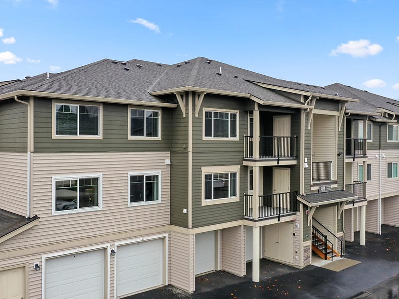 Baseline Woods Image 35