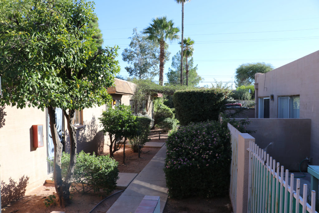 Palm Garden Image 20