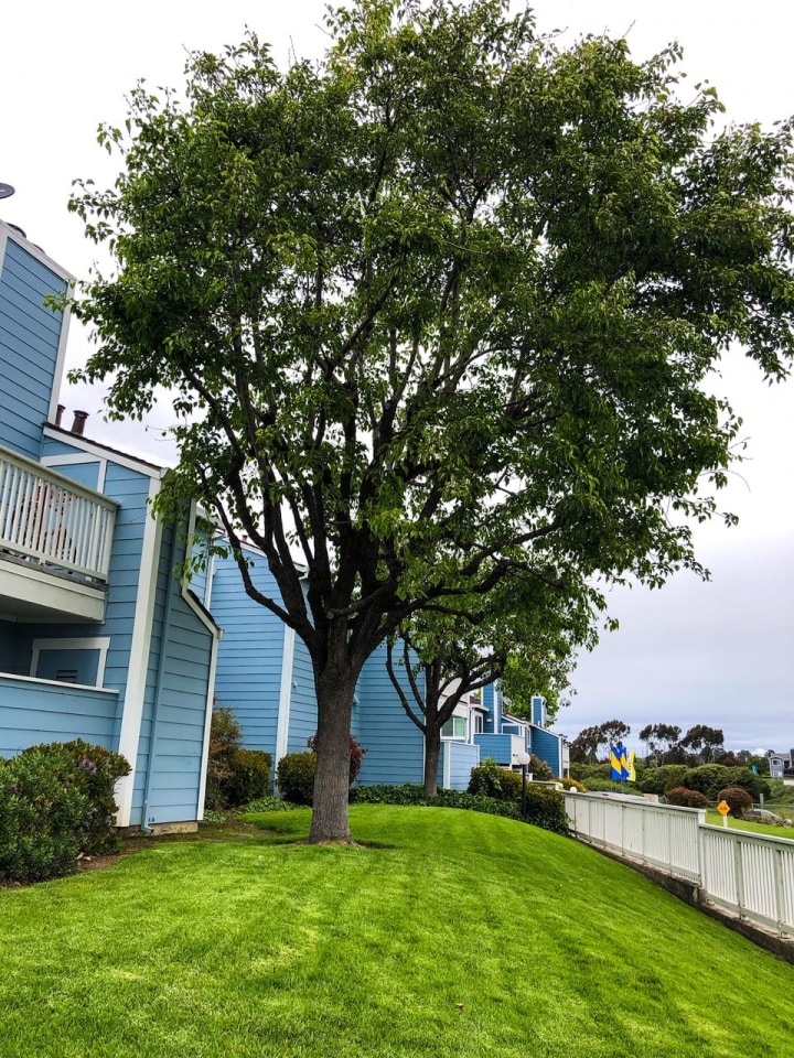 Mariner Village Image 9