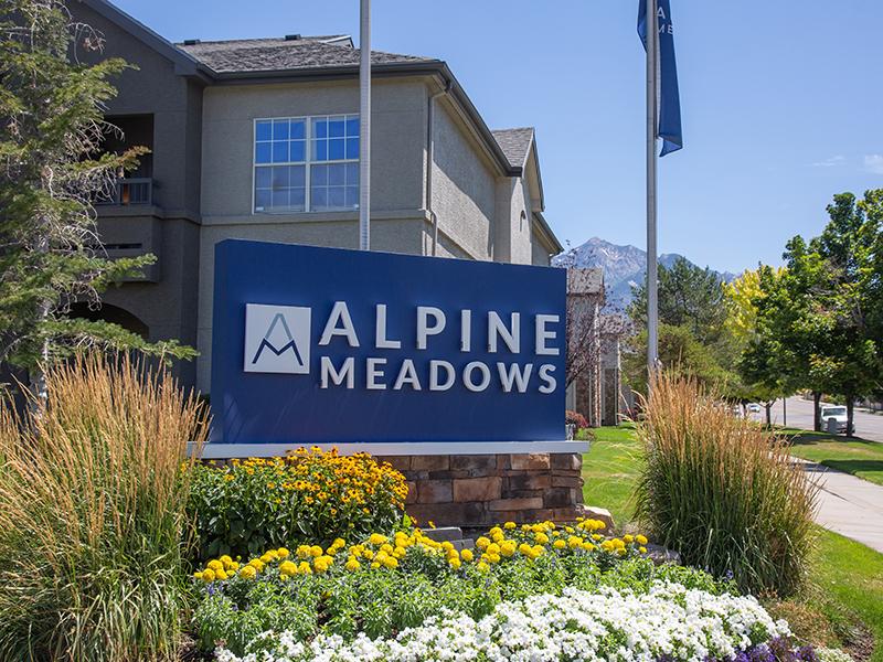 Alpine Meadows Image 2