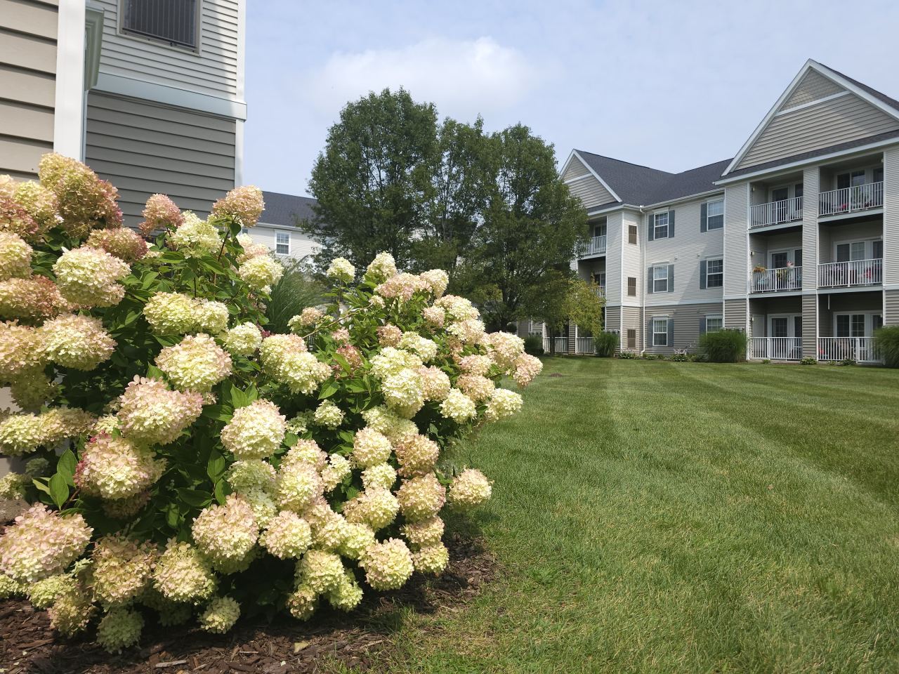 Oakhaven Manor - Senior Living Image 60