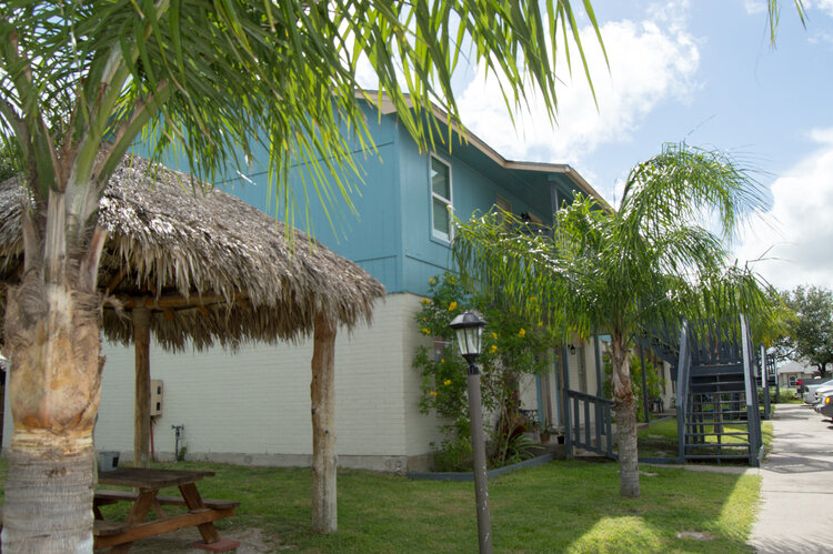Oasis Image 12