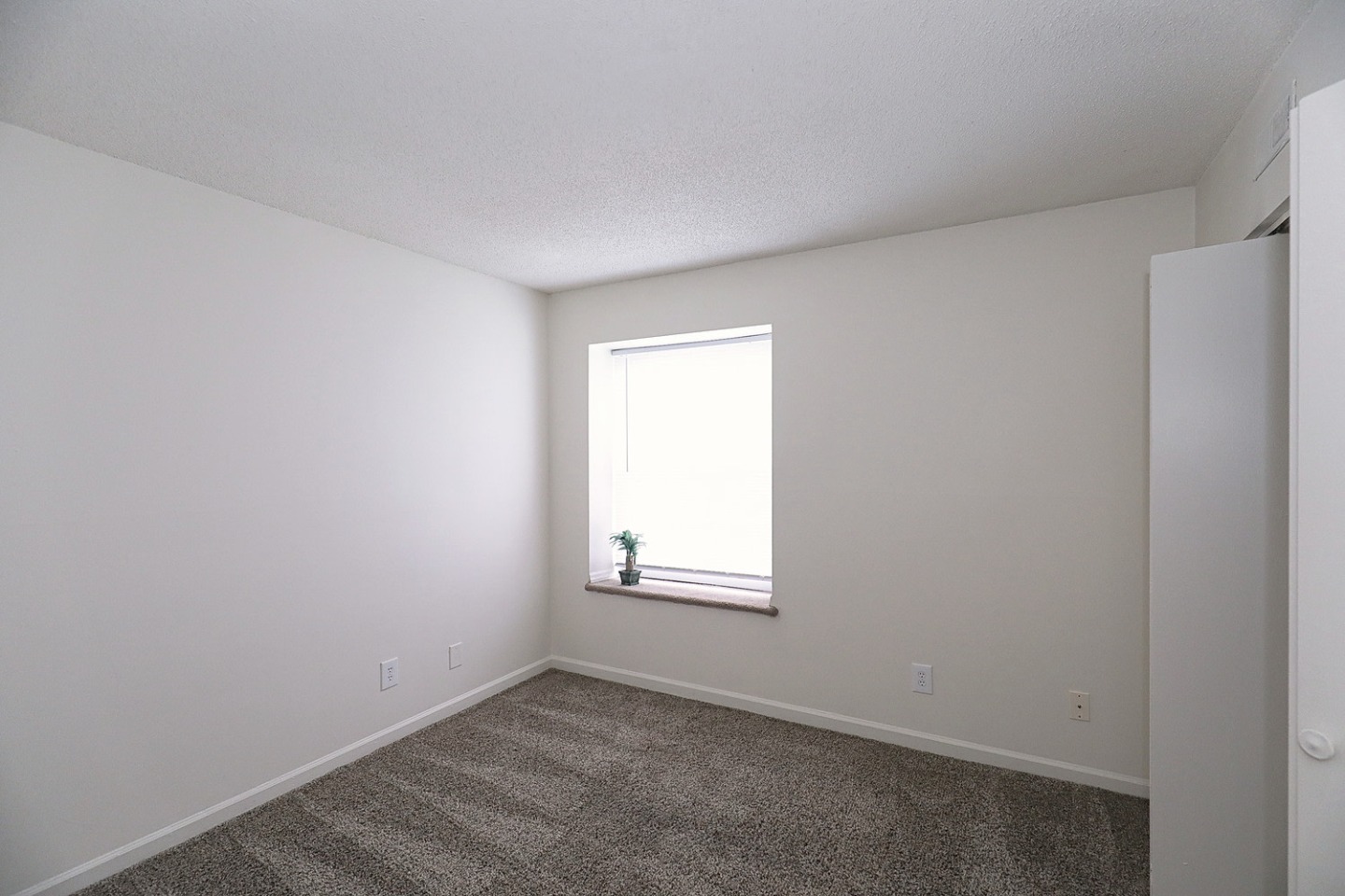 The Morehead Apartments Homes Image 15