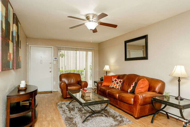 Palms on Westheimer Image 5