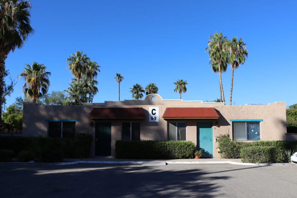 Palm Garden Image 21