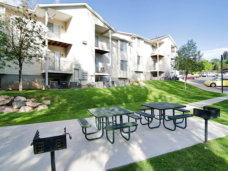 Cherry Lane Image 9