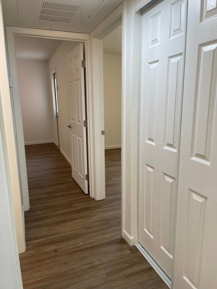 Pine Tree Apartments Image 6