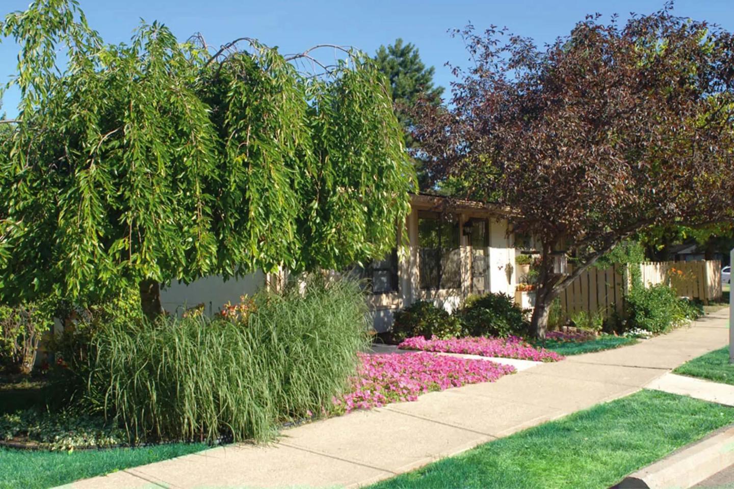 Randolph Court Image 1