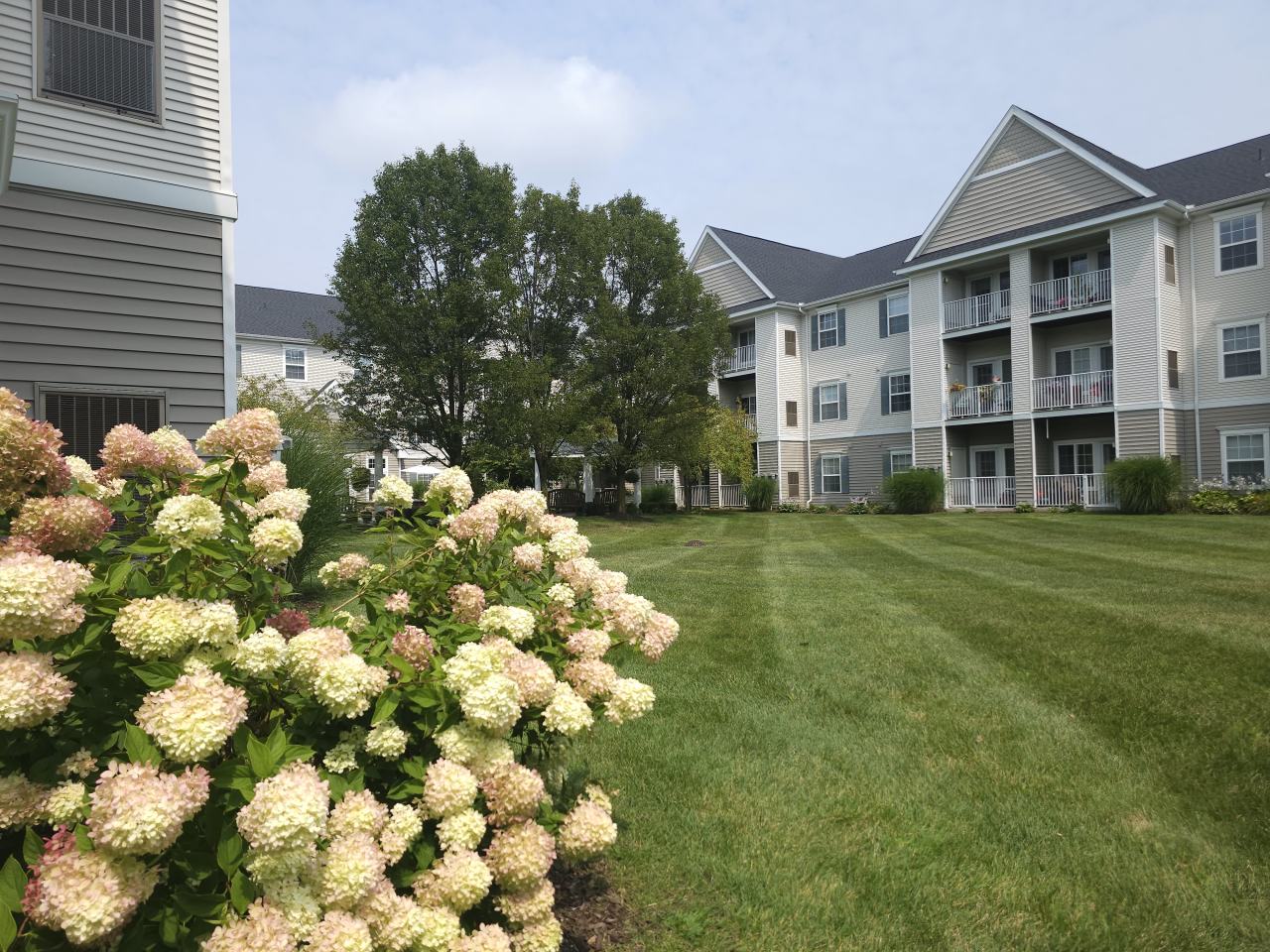 Oakhaven Manor - Senior Living Image 59