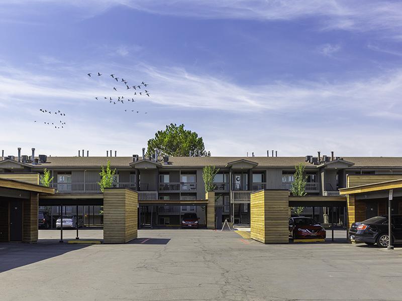 The Shenandoah Apartments Image 16