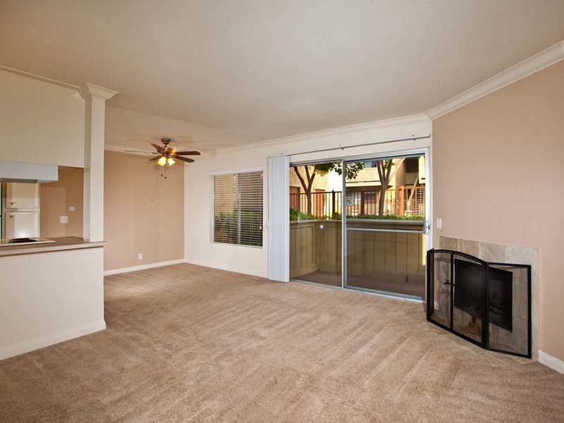 Elan Seacrest Image 3