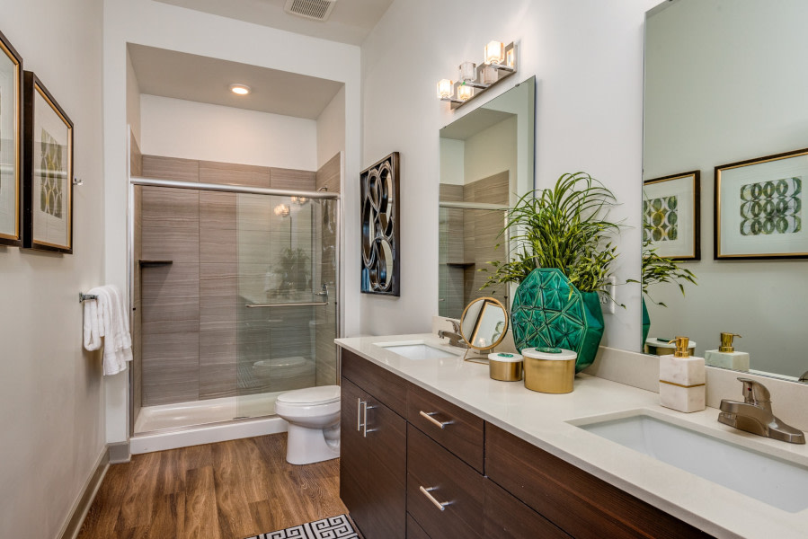 531 Grand Image 8