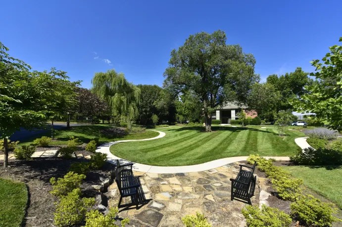 The Willows Image 8