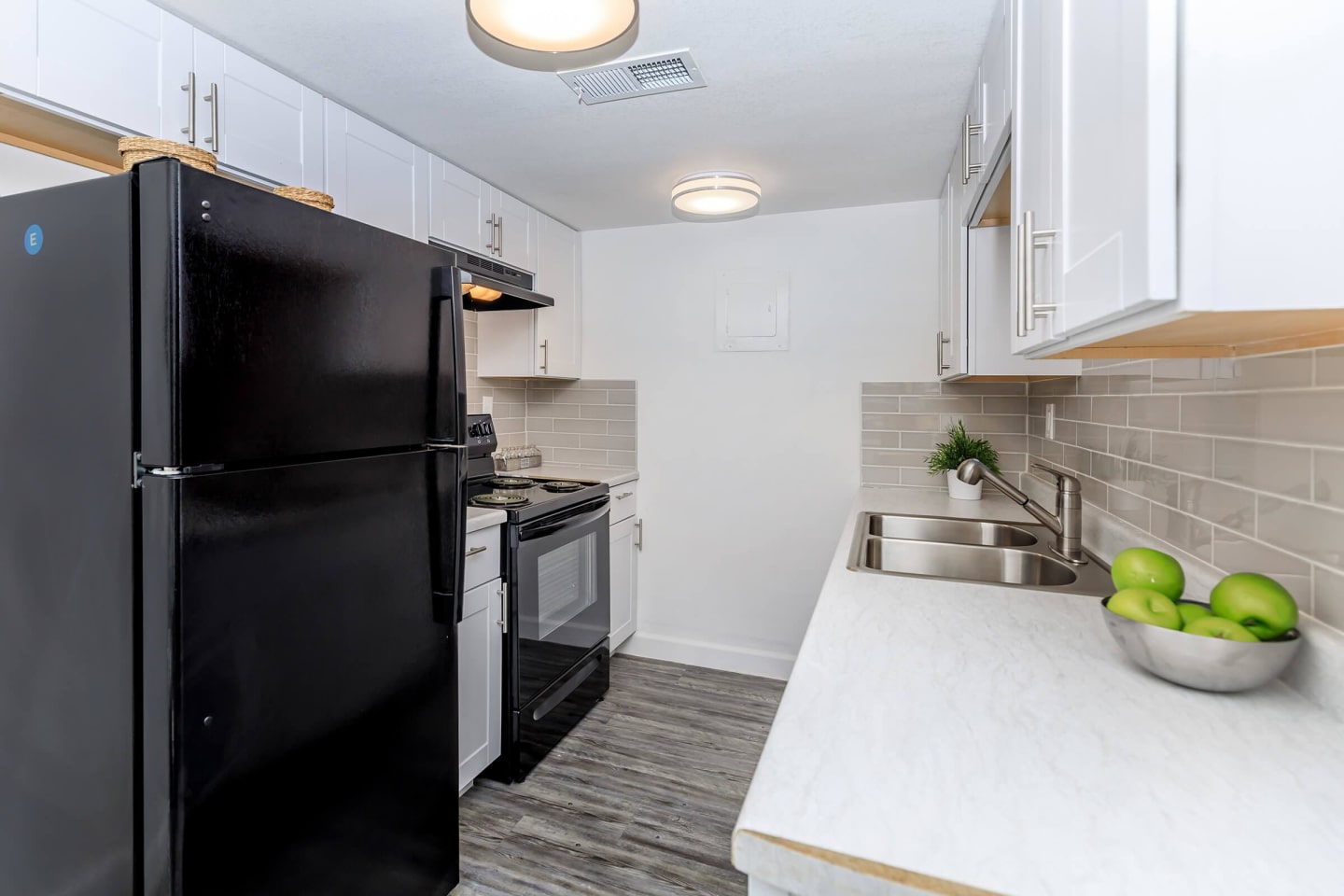 Palisade Park Image 45