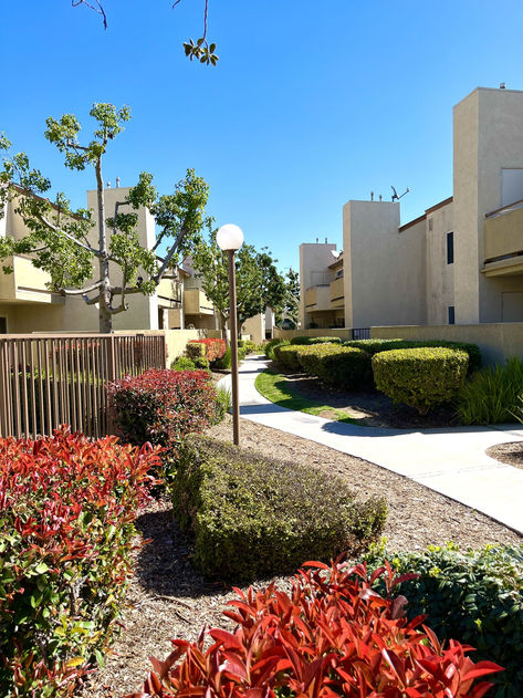 Peppertree Image 13