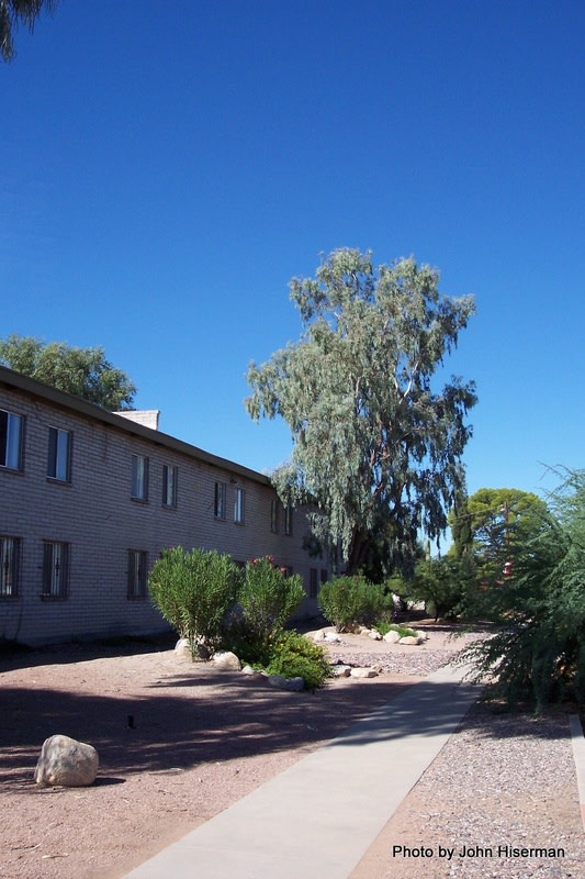 Mountain Plaza Image 14