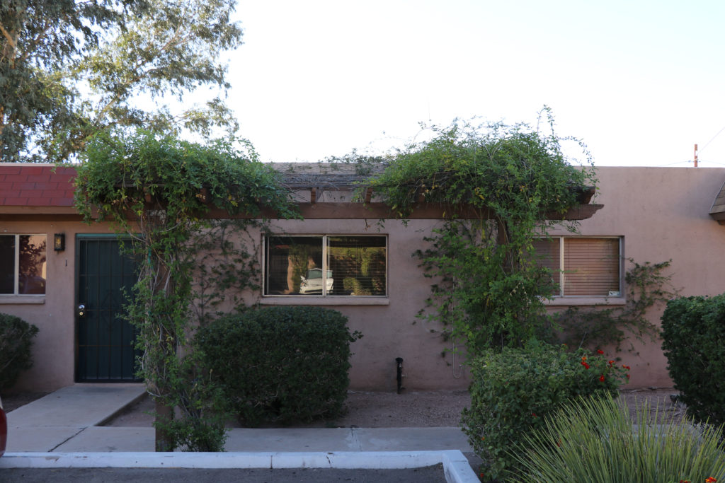 Palm Garden Image 23
