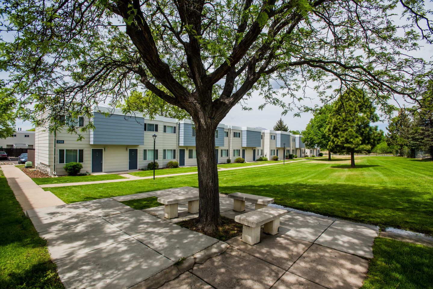 Whitney Young Manor Image 41
