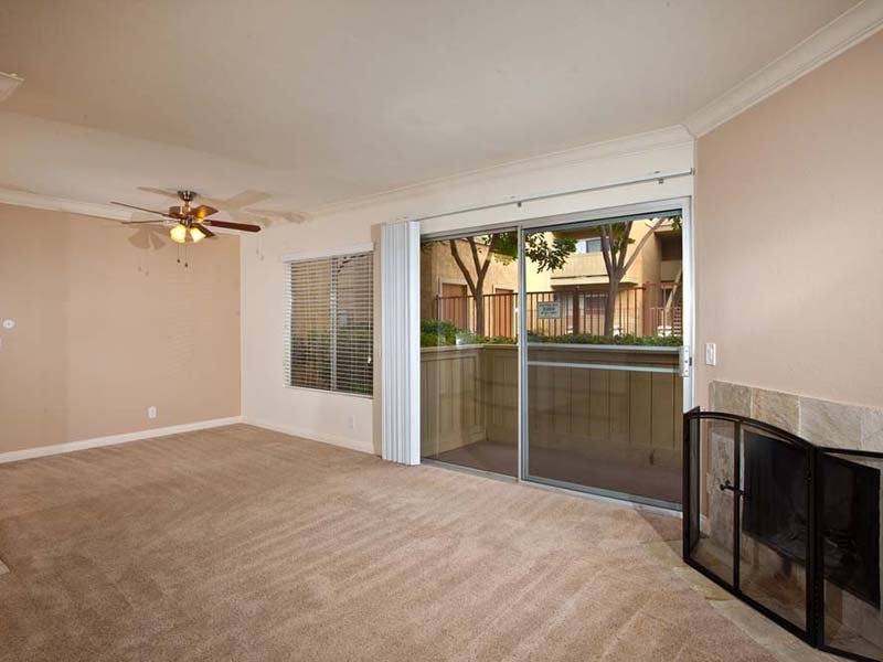Elan Seacrest Image 6
