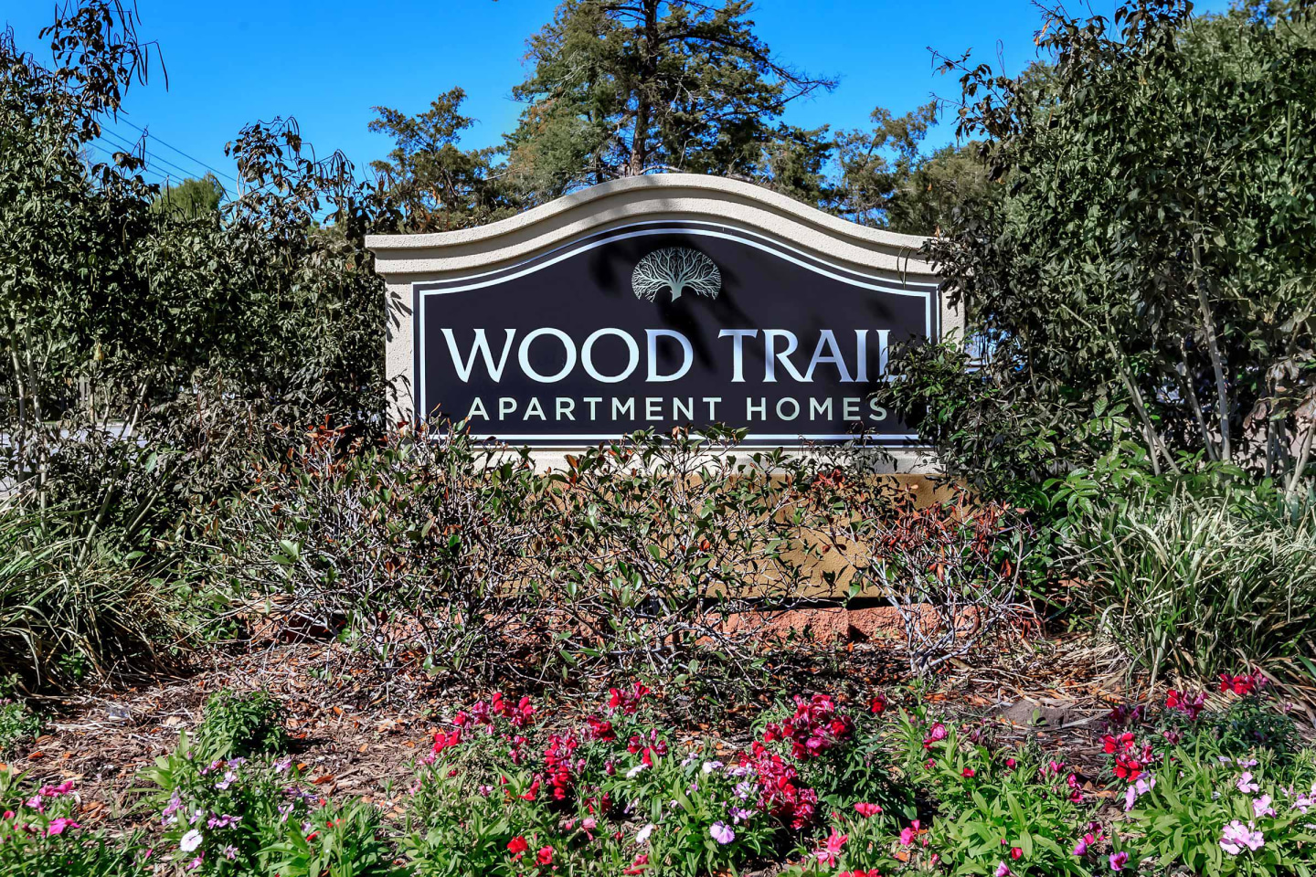 Wood Trail Image 40