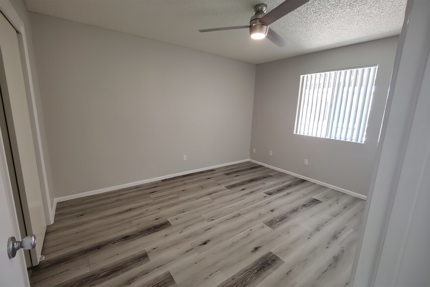 Albany Apartments Image 6