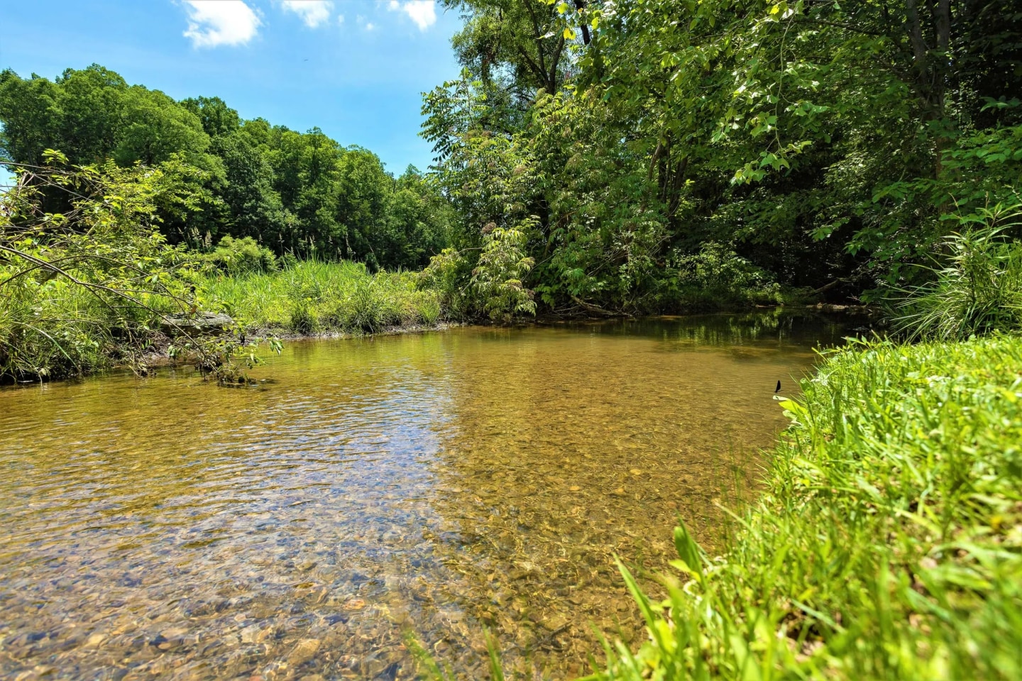 Cross Creek Image 35