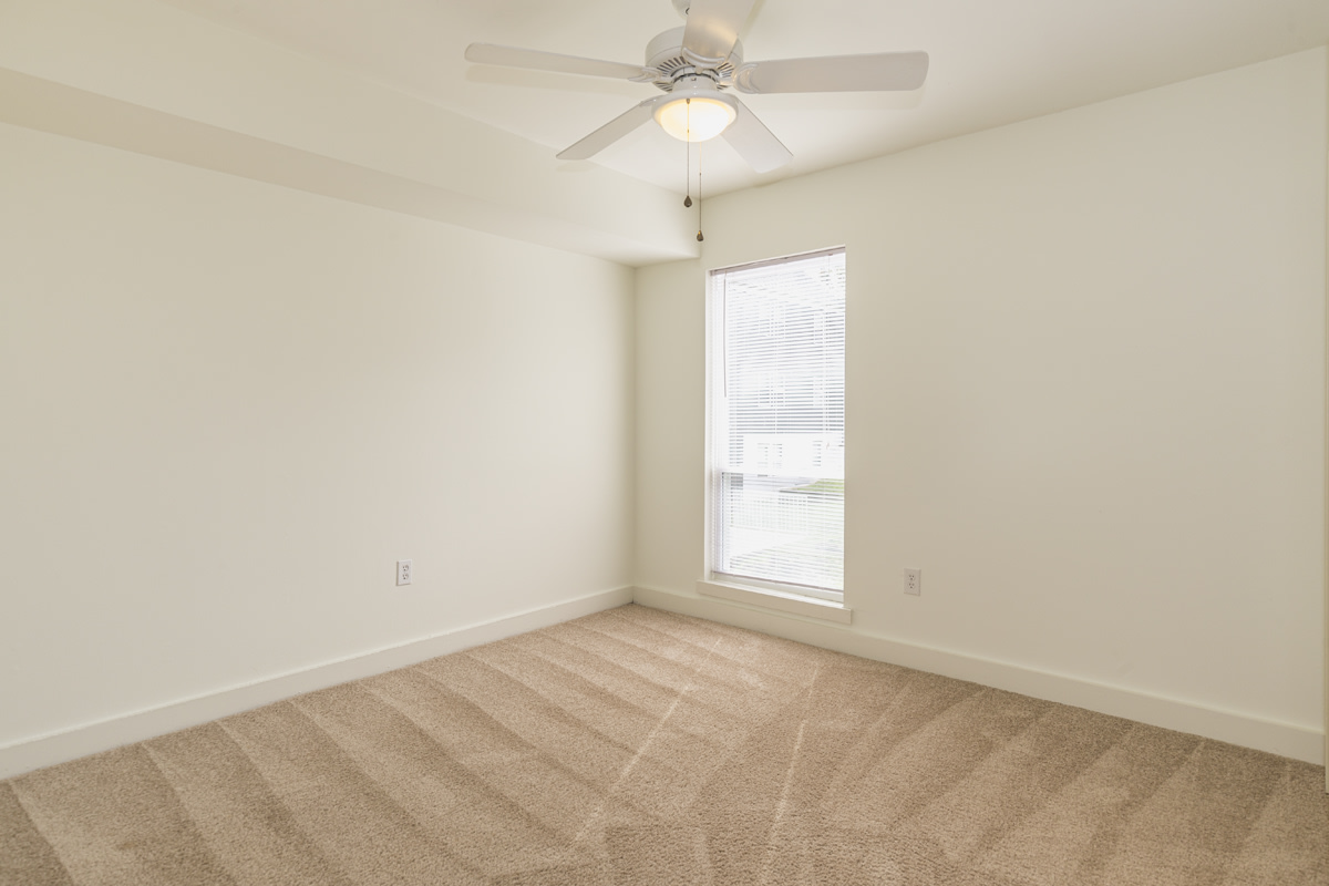 Ash Tree - Student Housing Image 7