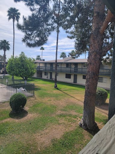 Wintercove Apartments Image 14