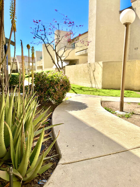Peppertree Image 10
