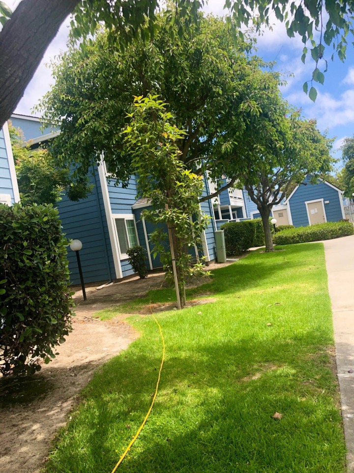 Mariner Village Image 13