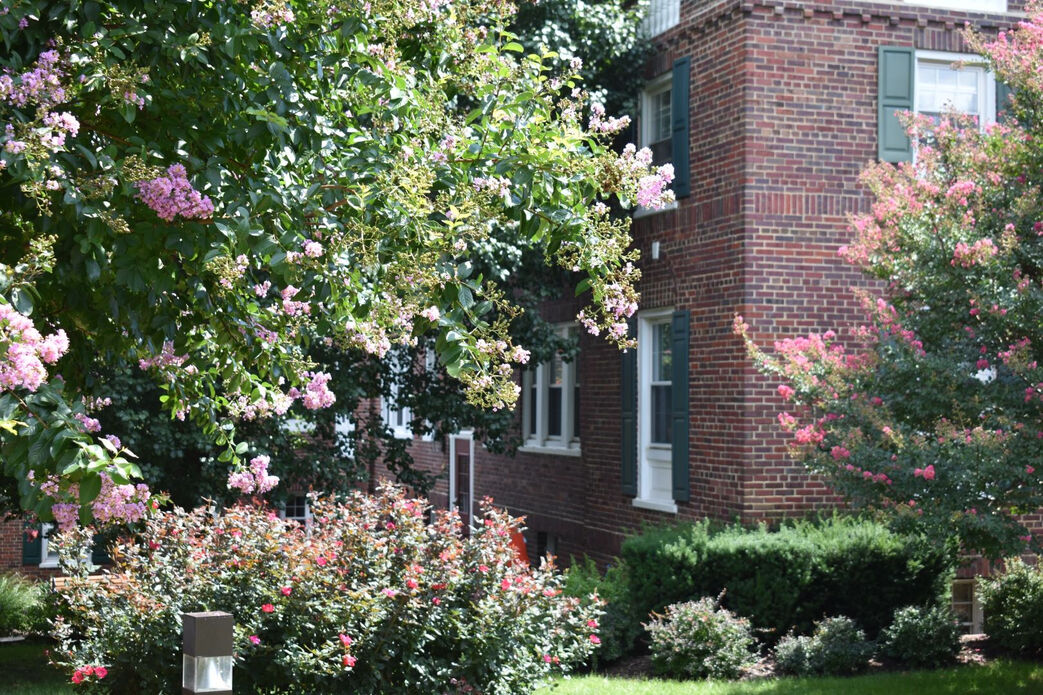 Colonial Village Apartments Image 18