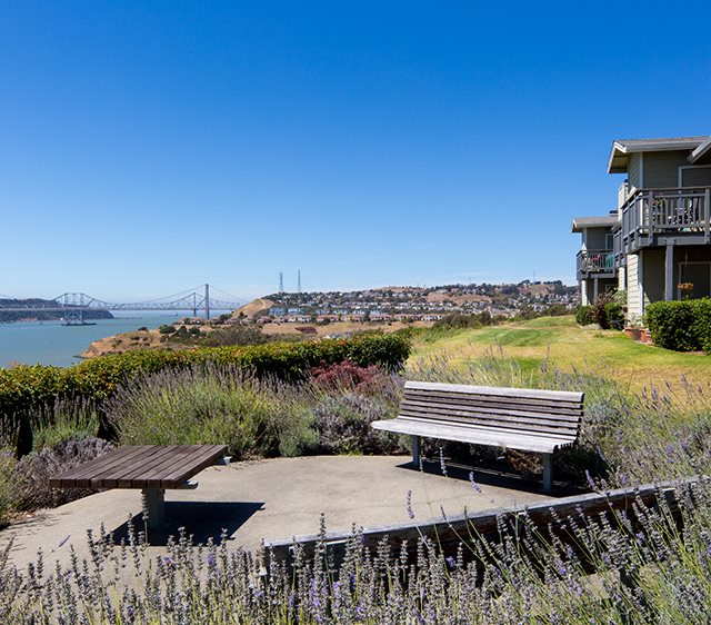 Seabridge at Glen Cove Image 14